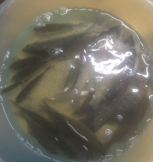 微信截图_20221115182927.png