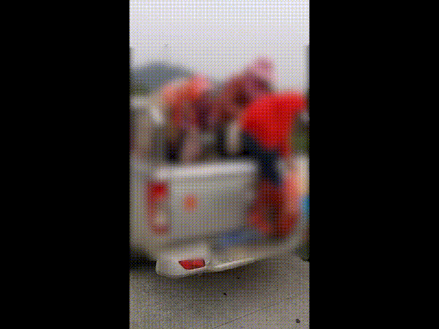 290ca8cdf86b4c7dcb0d6632bc15a54a.gif