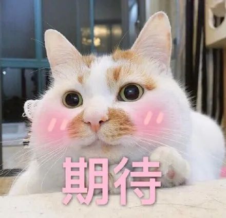4dfdb8dae48c282c1ff2ad2155c1ab81.jpg