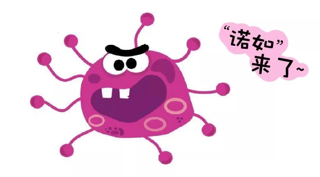 5995a4c272ee9e413a974dc775bd2907.png