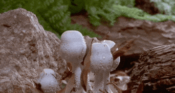 7e0780057a0fb1c8634d6b116410e199.gif