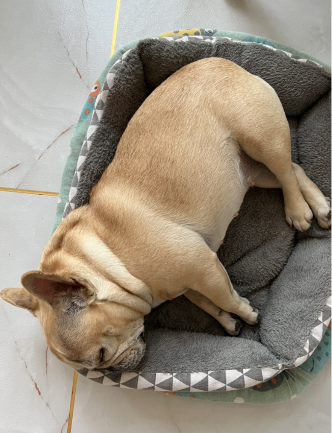 微信截图_20230113095242.png