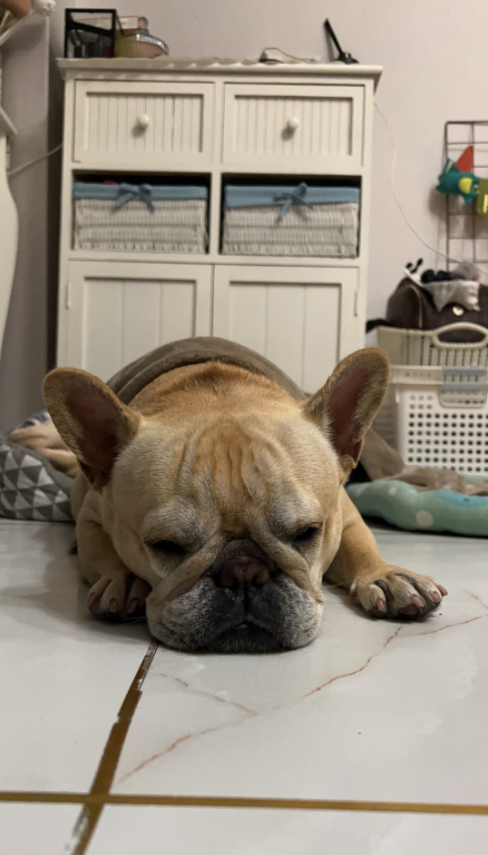 微信截图_20230113095305.png