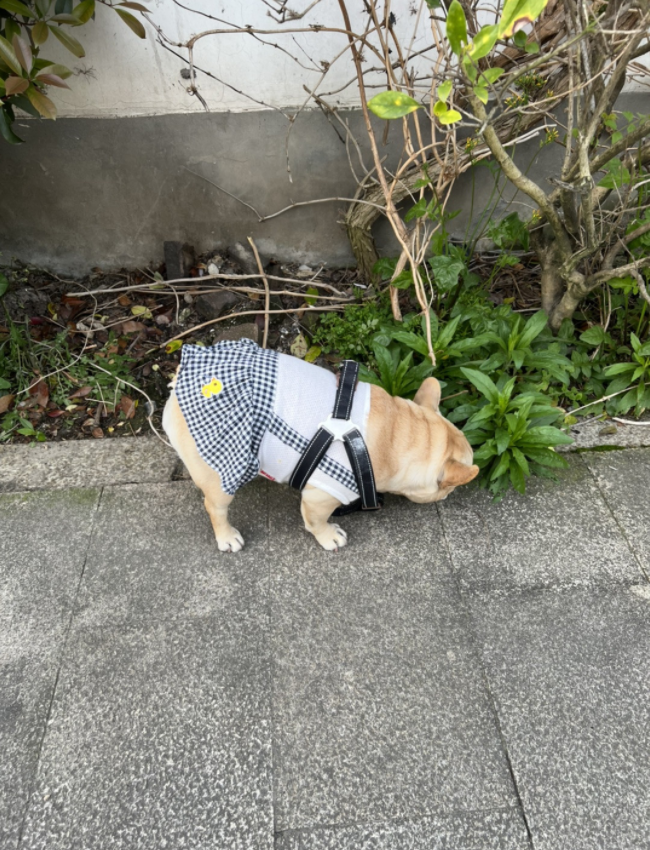 微信截图_20230113095320.png