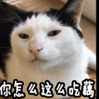 a0c2dd3a827cf923aa8fd164572ae48e.gif