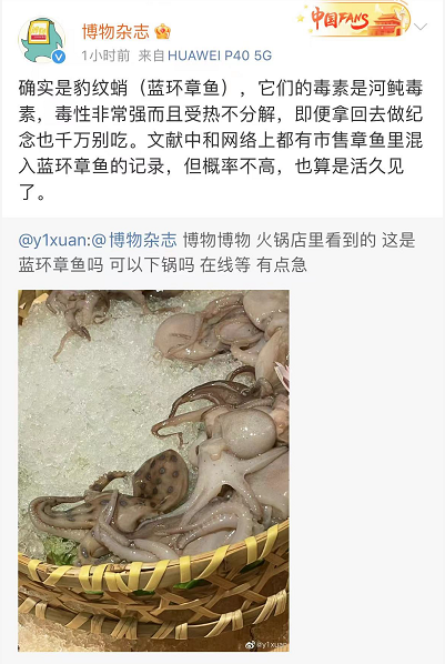 ab10887505260b52364ab65d23ff2a27.png