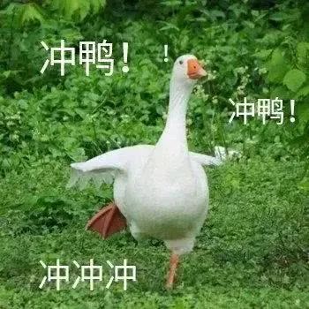 0b73217d0d40dc4d3e8fd1d8f64cf22c.jpg