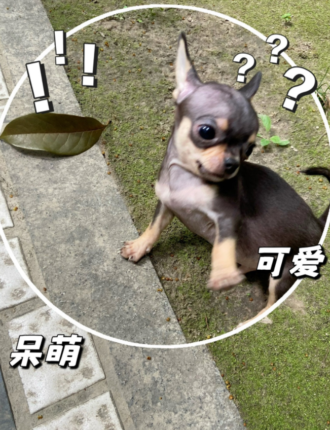 微信截图_20230119164835.png