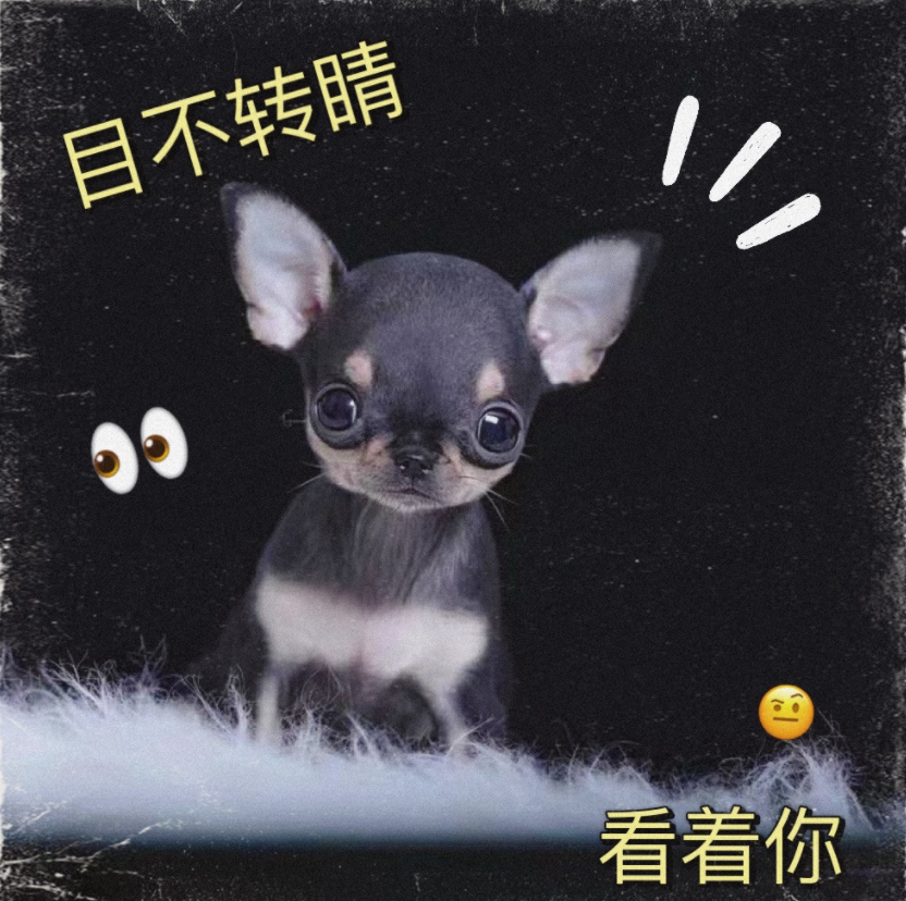 微信截图_20230119164801.png