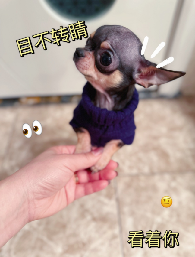 微信截图_20230119164844.png