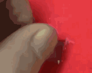 946dd7d55aa9ec1d45fb24419704a807.gif