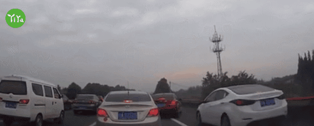6590c3cd1ef9fccd7ecbd7498d54480d.gif