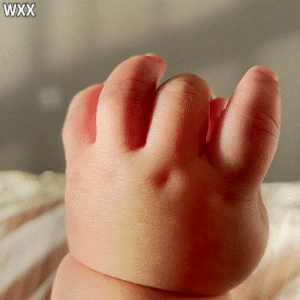 3c45a85d88ae656073f1806068d9b608.gif
