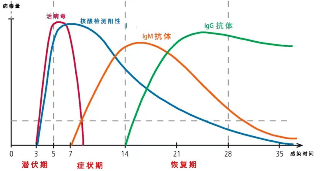 c69ab65bc19581d0b1b766a3b154baa8.png