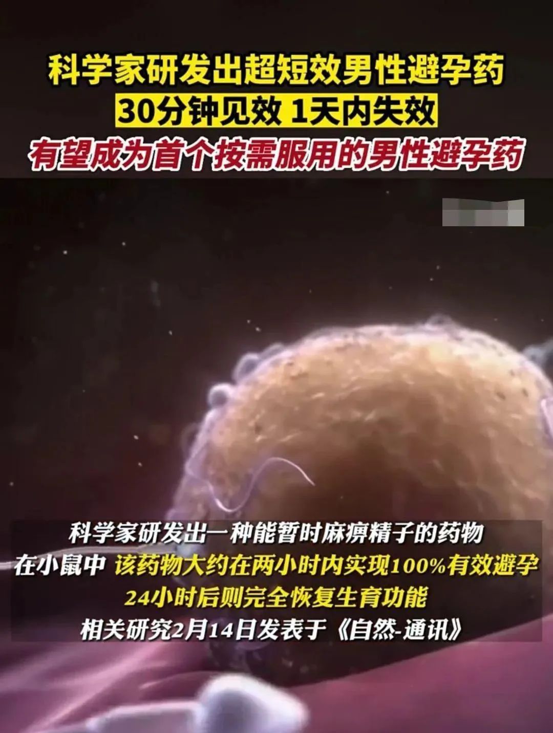 7be2f5186251af554dca14f3824edfa8.jpg