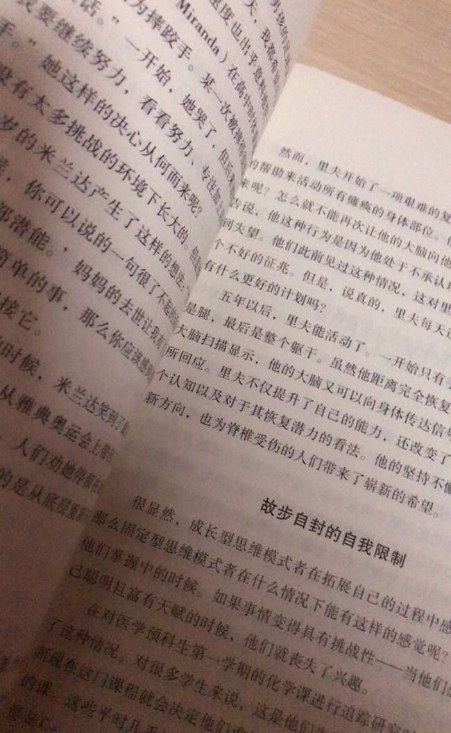 d1 (7).jpg
