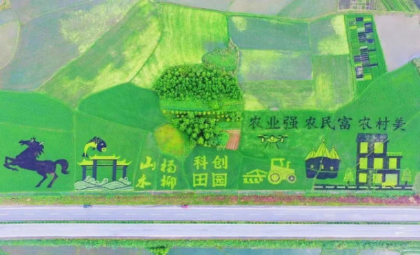 e807a46c8219636b255552e374823fcf.png