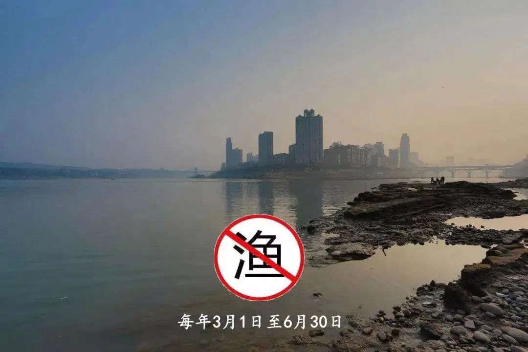 c74e3c6c8207b988d5a37d49e674232b.jpg