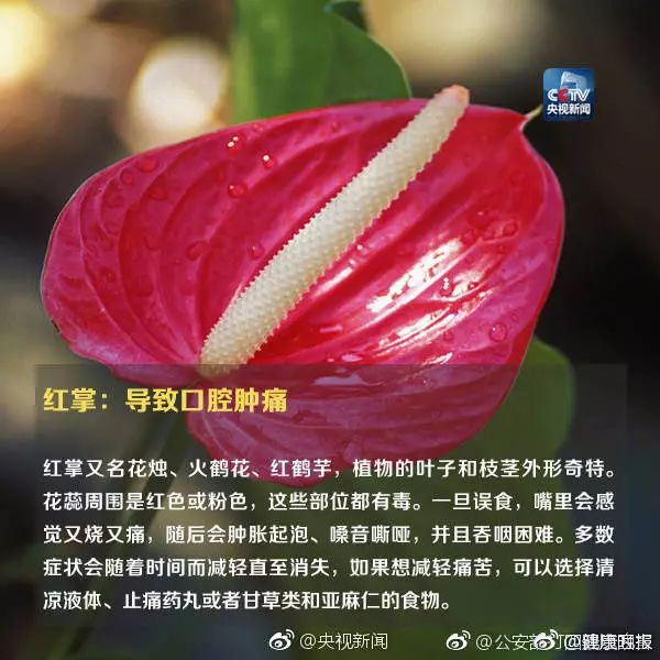 746da35a6b3208fc7145bee433101685.jpg