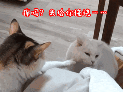 4aae1104ce80003876abf5c587e71b9d.gif