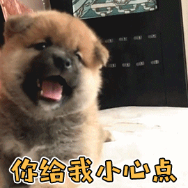 2d2cdad36c14ef5f4c5b7e41d6fbe8cd.gif