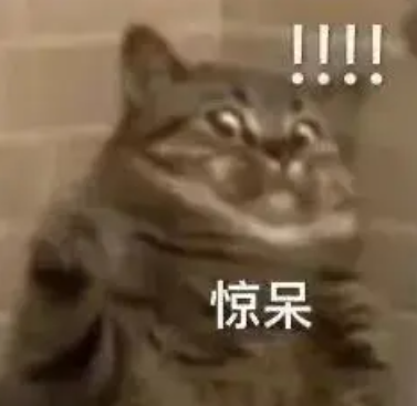 008796a6c172f8bc5a0564c73279d21e.png