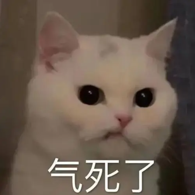 de57197b2aef7e75b693f028d8b3d372.png