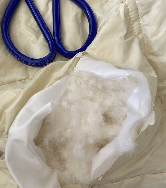 095303iqj0wj4j8do4j0uq.jpg