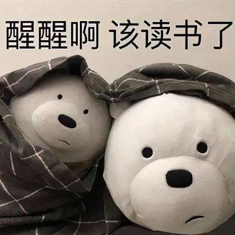 aaa7d16b848c05c9097fd03c5de4115b.jpg