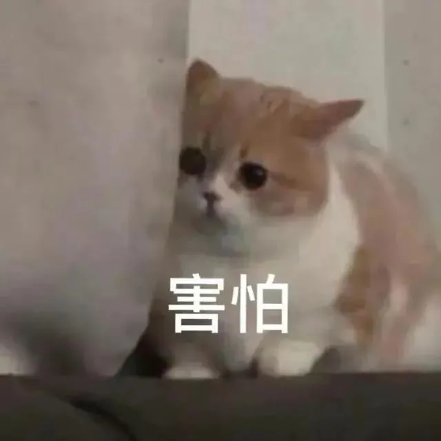 e6a94b0160e9286ddf9545609cdf90be.png