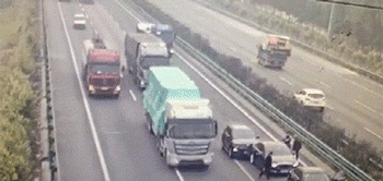 115840f55b3petc3a3rqtr.gif