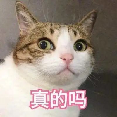 c01b93b2d6ffe878040c2fd8e484068f.jpg
