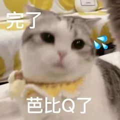 c42642c2b46b3075a5f2711fc37ebcd9.jpg