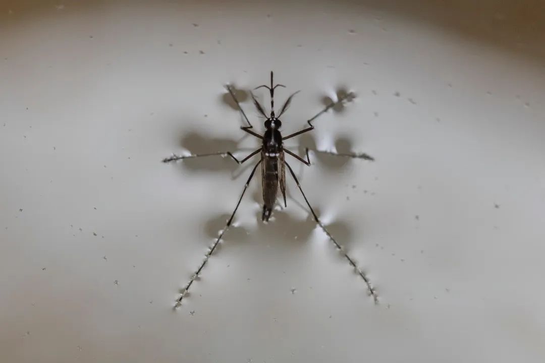 2f739a51bb09556c8672e5bf7554610f.jpg