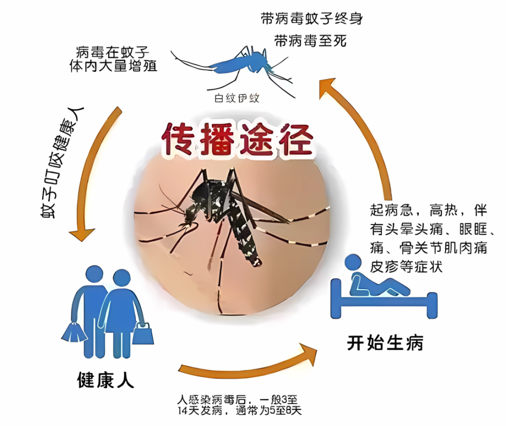 4f9286e8a8c24c8b9a4ff970afae2e1f.png
