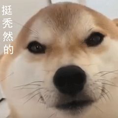 e214043b67b821a63ba20c8255374b11.jpg