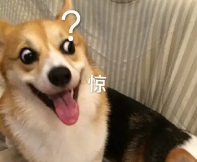 5d4c2a09d31ce827180c4f3e52cbcdf3.png