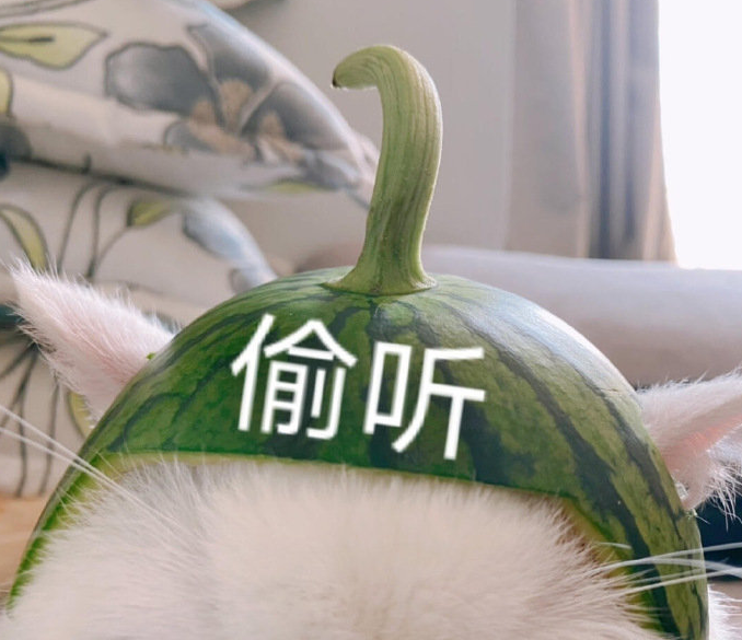b08cb54dfcd1f35aeeeb203530a2804c.png