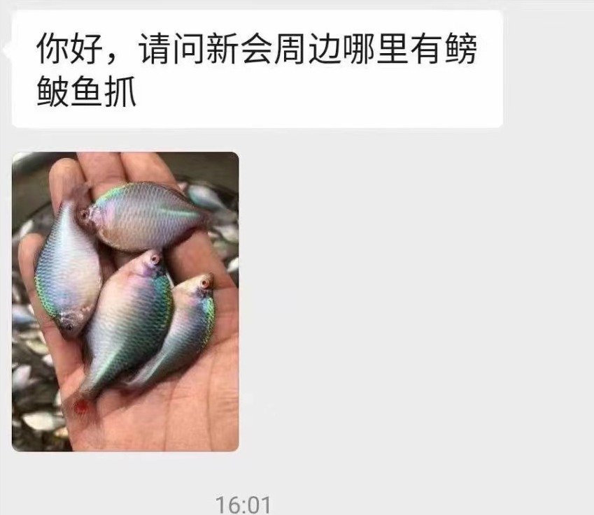 微信图片_20231017002545.jpg