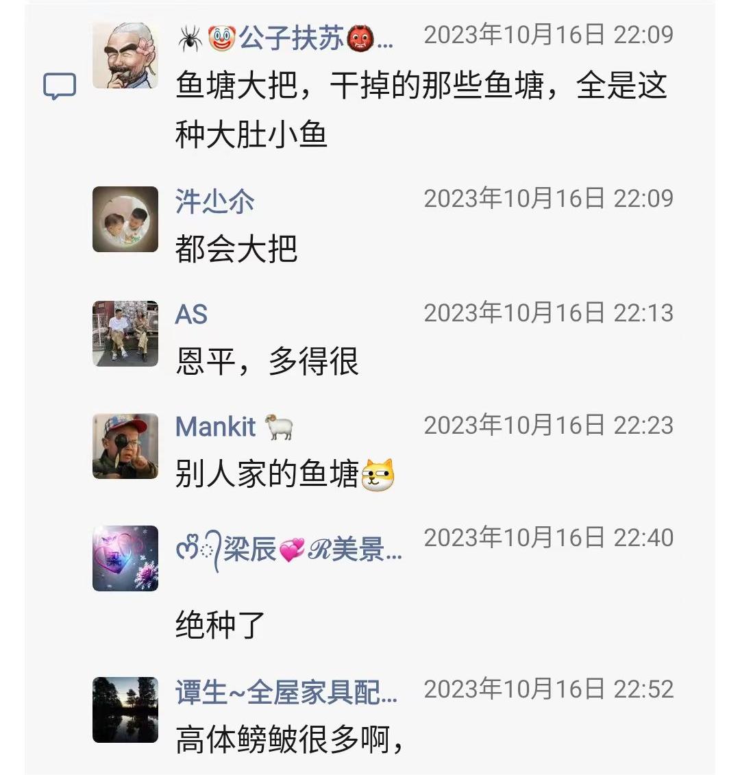 鳑鲏鱼4.jpg