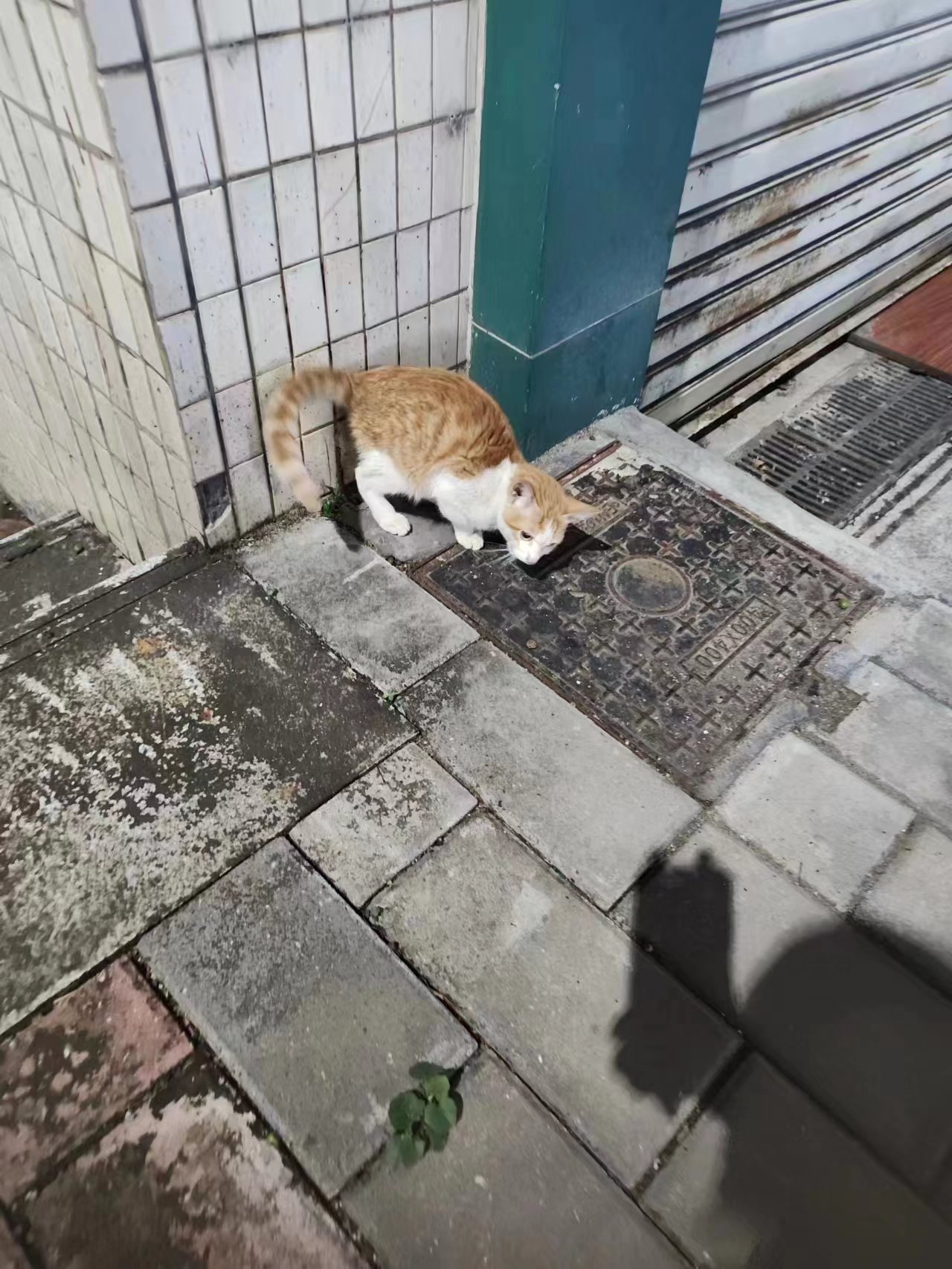 微信图片_20231028162159.jpg