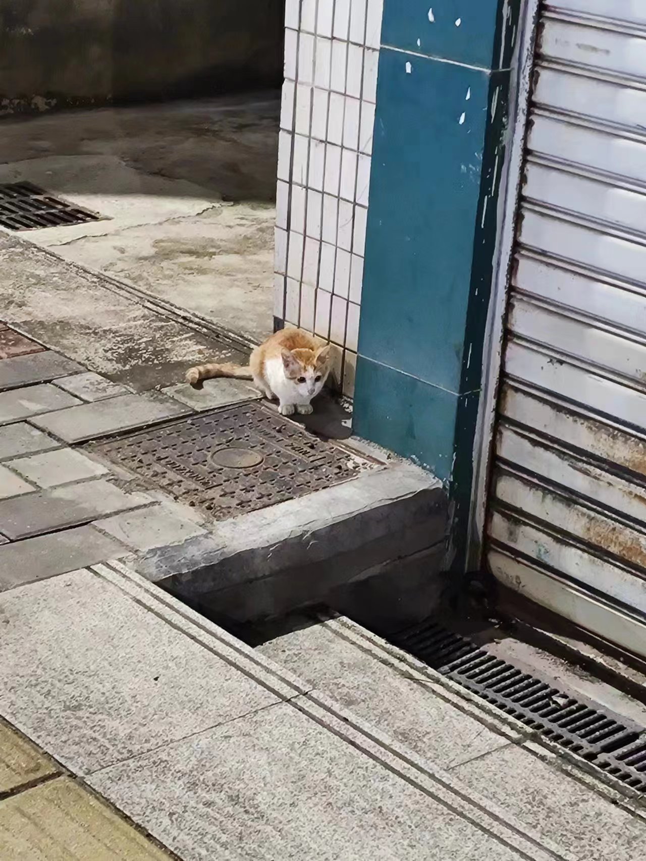 微信图片_20231028162154.jpg