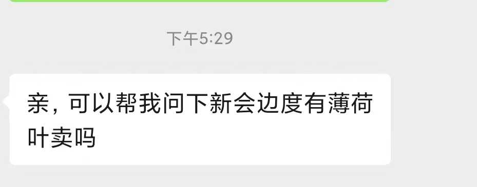边度有薄荷叶卖.jpg