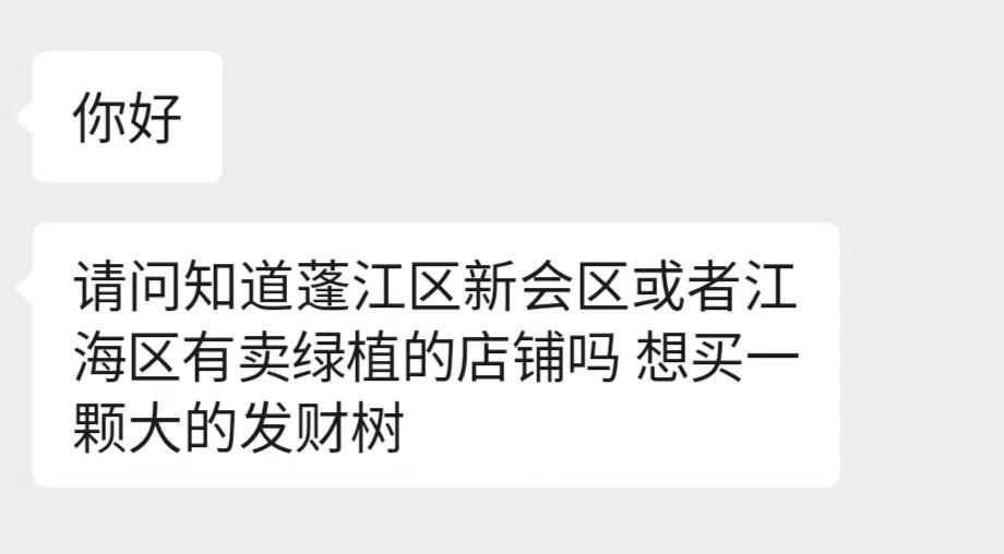 卖绿植的店铺.jpg