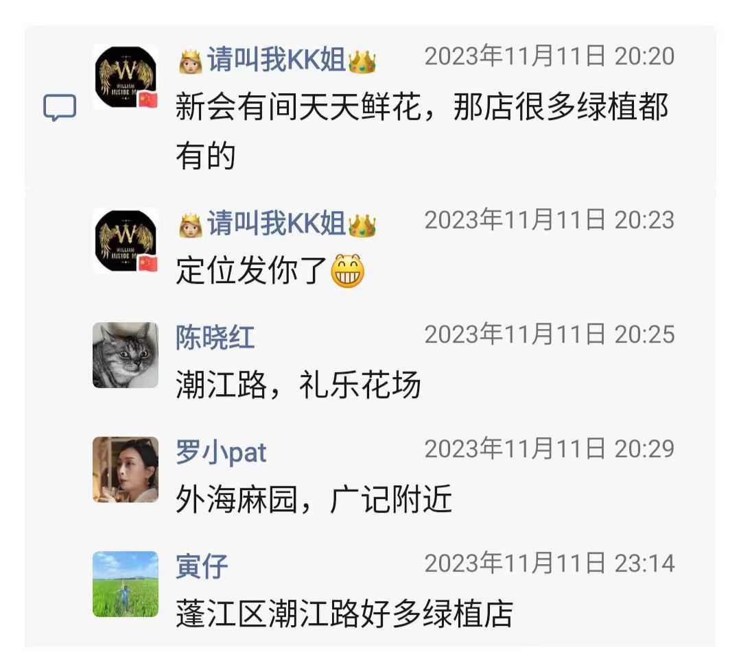 卖绿植的店铺5.jpg