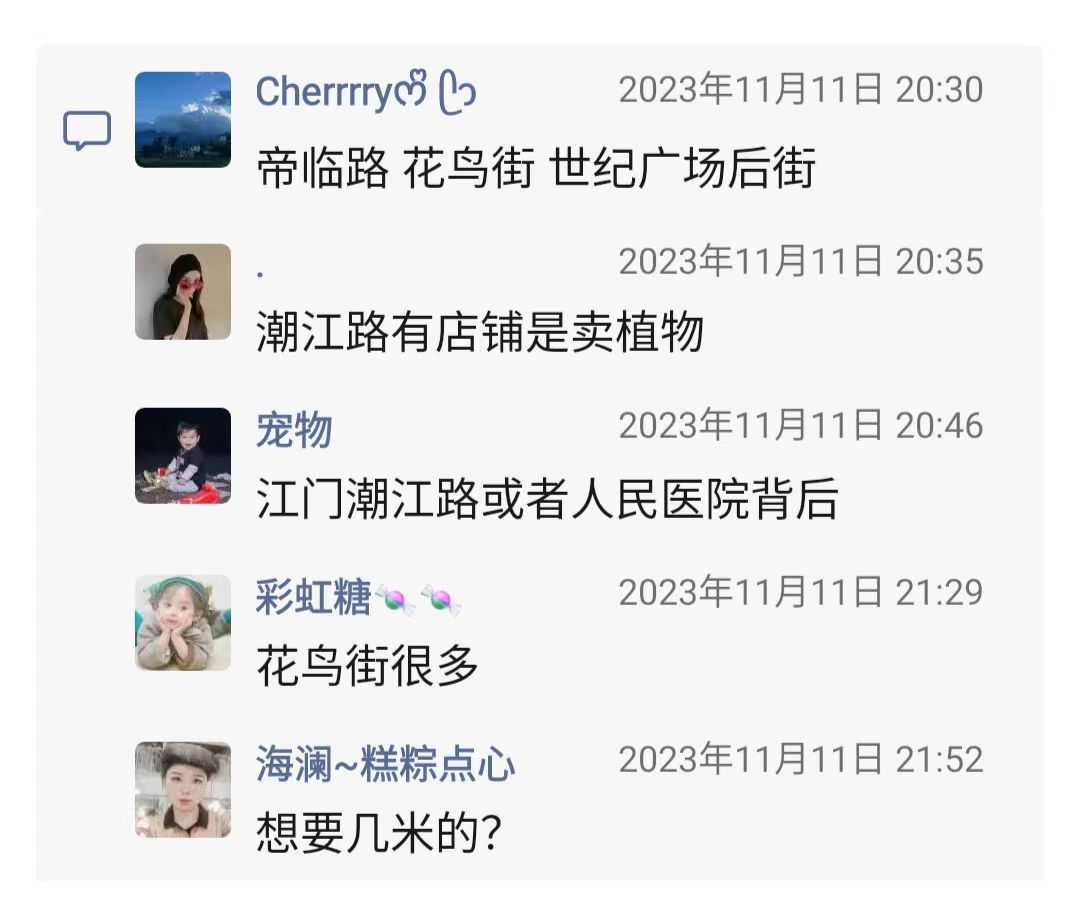 卖绿植的店铺4.jpg
