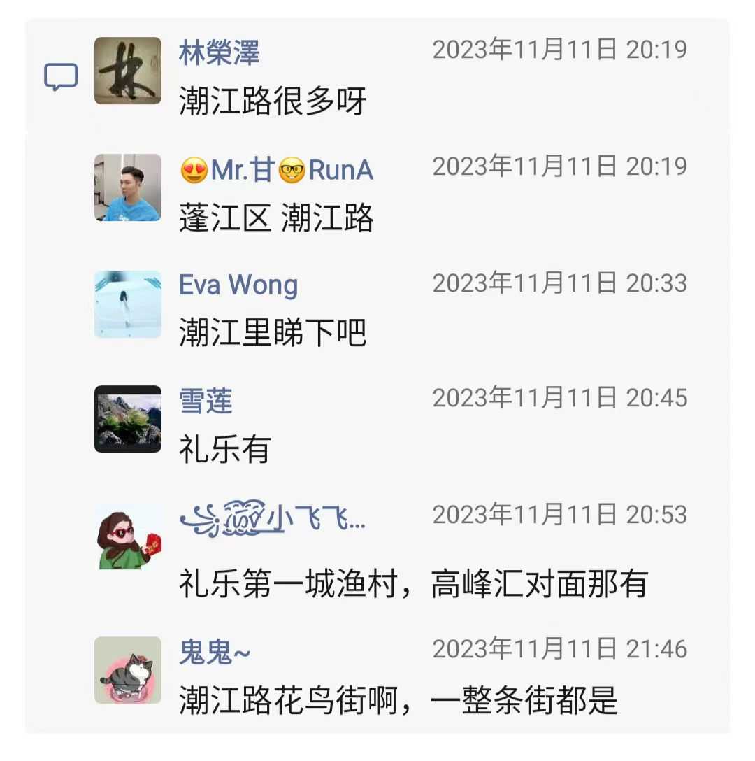 卖绿植的店铺3.jpg