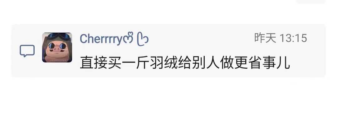 蓬江羽绒翻新1.jpg