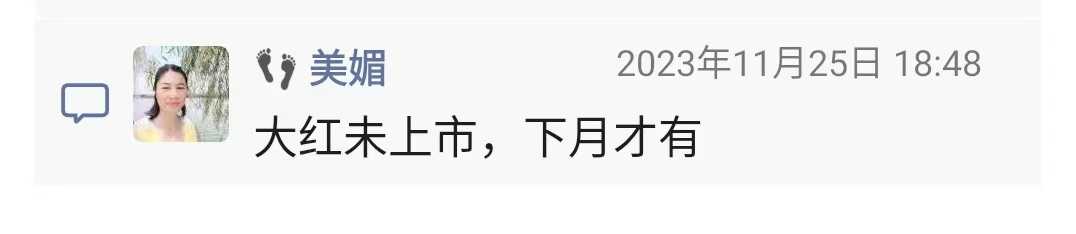 新会摘大红柑5.jpg