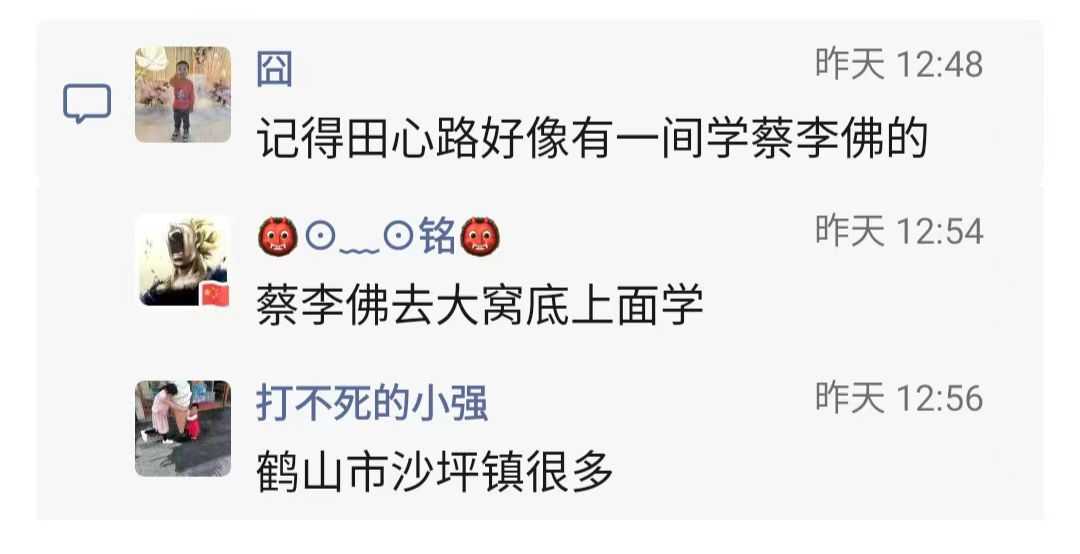 新会蔡李佛拳8.jpg
